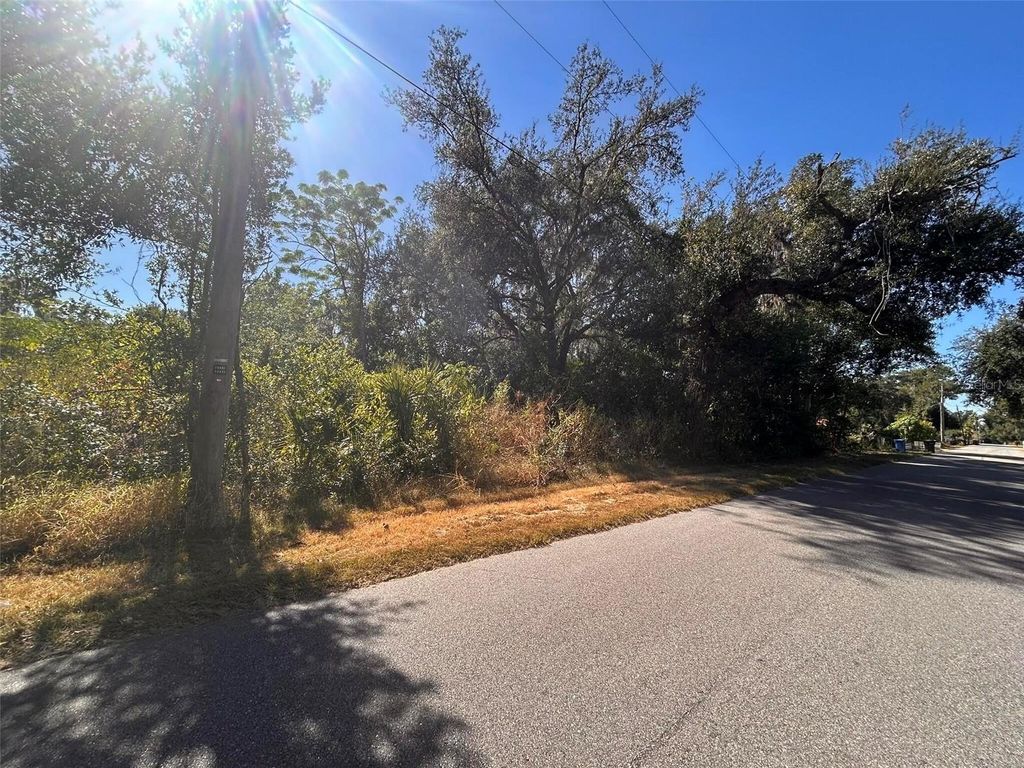 Photo of 11119 Bessie Dix Road, Seffner, FL 33584 (MLS # O6381164)