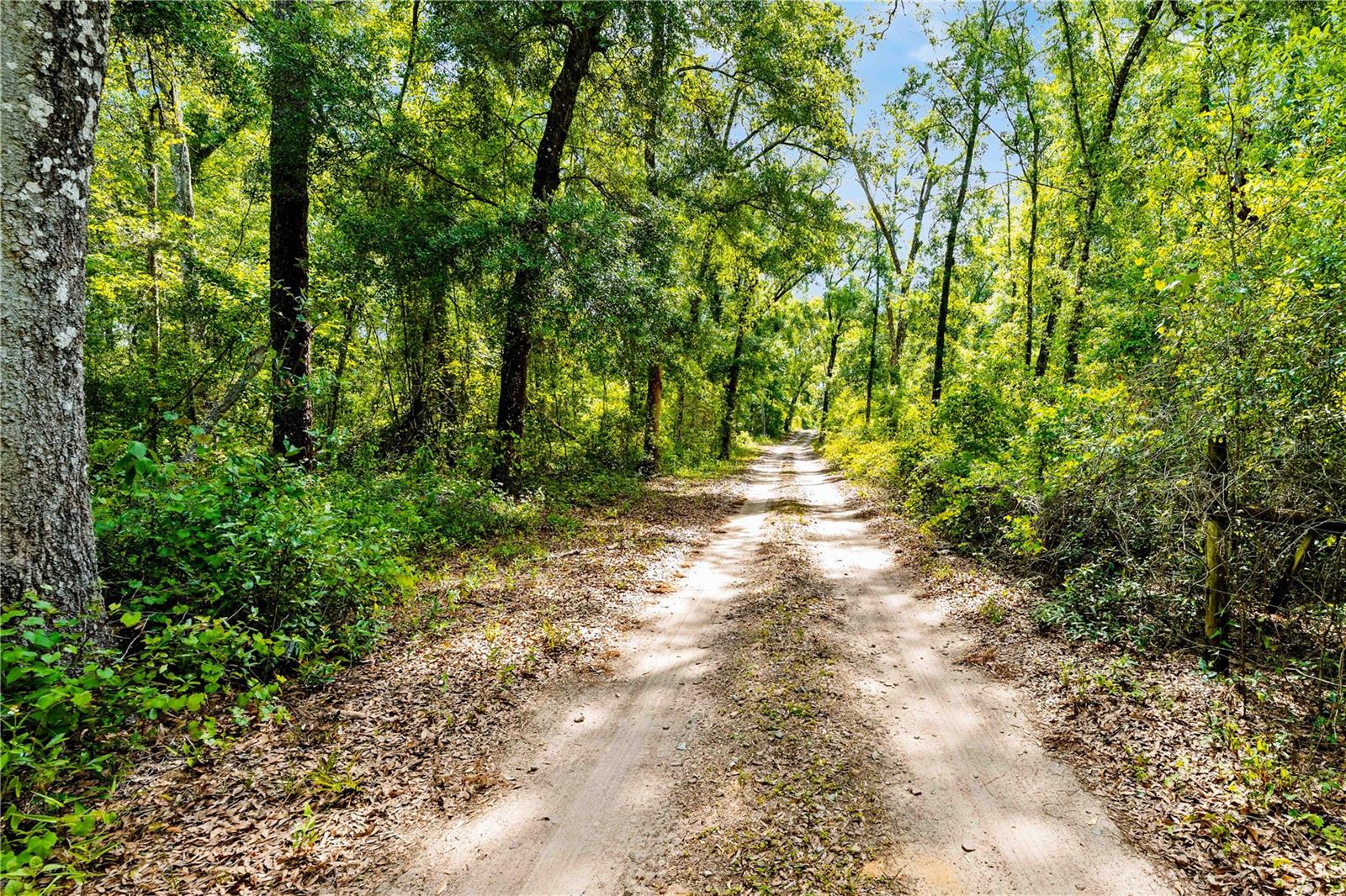 ACREAGE - Land