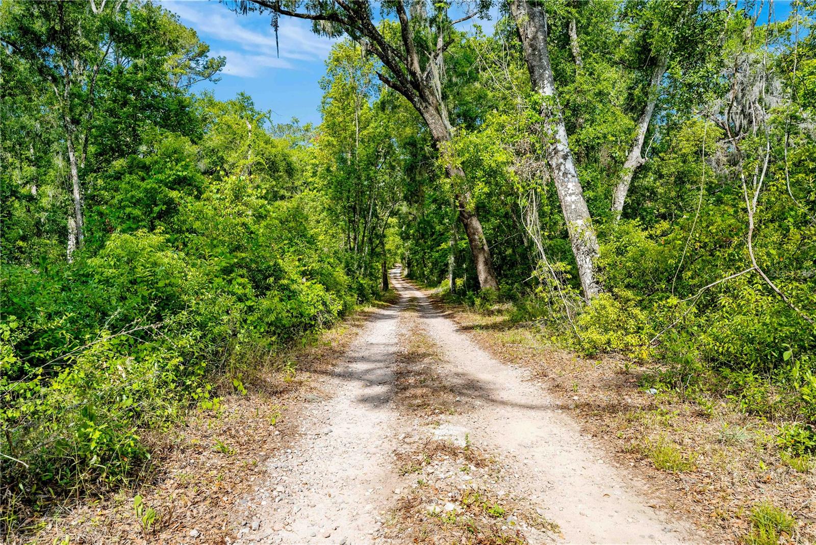 ACREAGE - Land