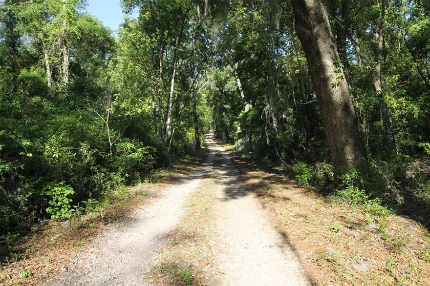 4 Acres of Country Paradise in Spring Lake - Build Your Dream Home! Discover the perfect blend of privacy and convenience with this stunning 4-acre parcel located in the rolling hills of the desirable Spring Lake area of Brooksville. Zoned Agricultural, you could have that mini farm you've always wanted.--no HOA or deed restrictions! This ''high and dry'' homesite features gorgeous mature oaks, creating a picturesque, shaded setting for your custom home. Situated on Lager St, a private dead-end road, you will enjoy ultimate peace and quiet with no through traffic. Live the country lifestyle while being just 10 minutes from downtown Brooksville and close to I-75 for an easy commute. Enjoy the best of both worlds with country living and the modern convenience of SPECTRUM High-Speed Internet available. Ready to build--bring your animals and your builder! Sale is contingent upon final approved split and new parcel identification number from Hernando County Planning & Zoning.