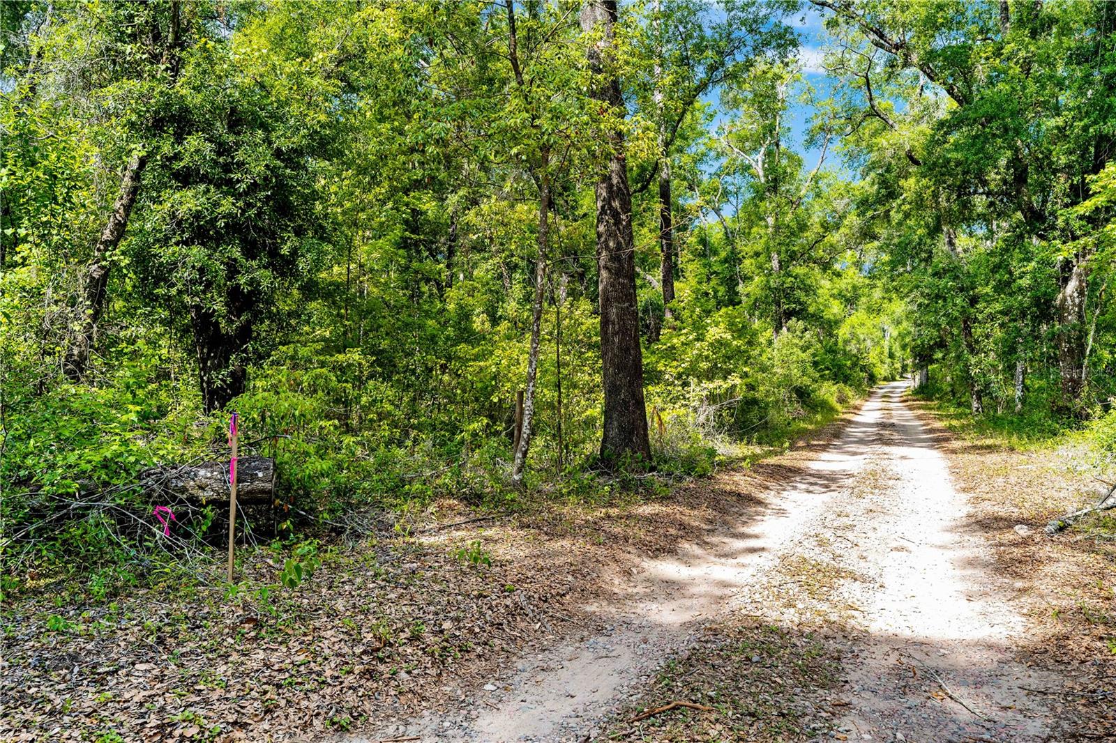 ACREAGE - Land