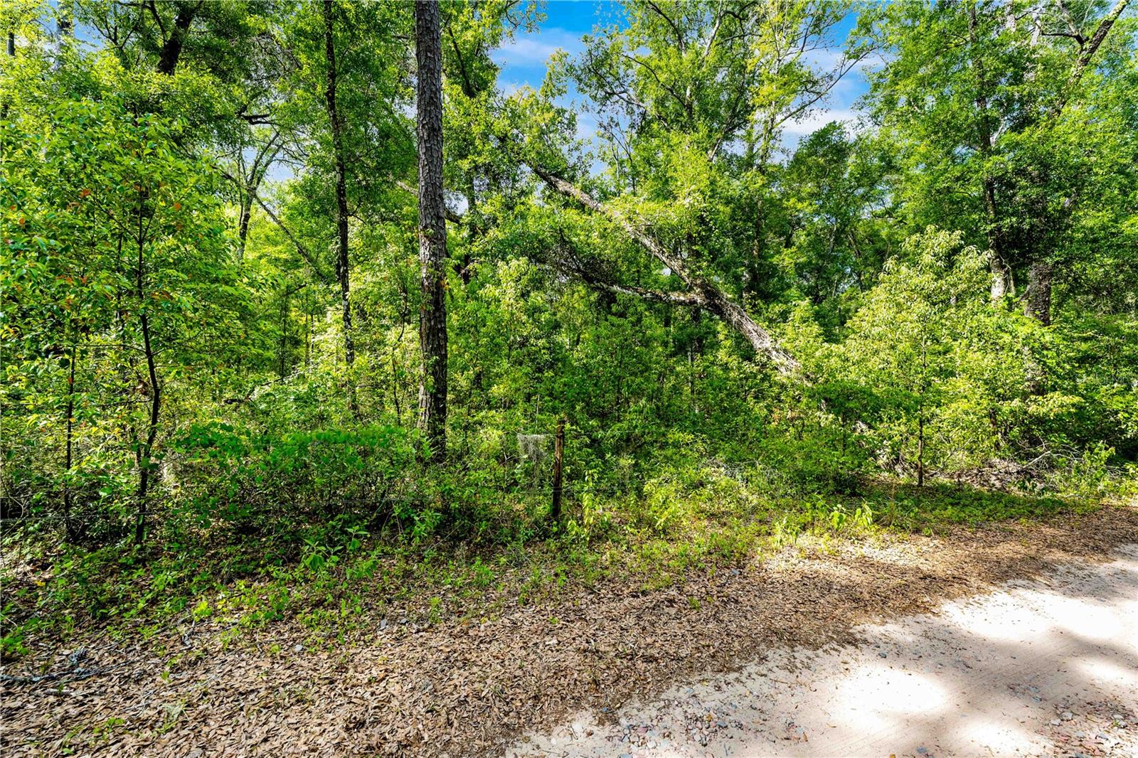 ACREAGE - Land