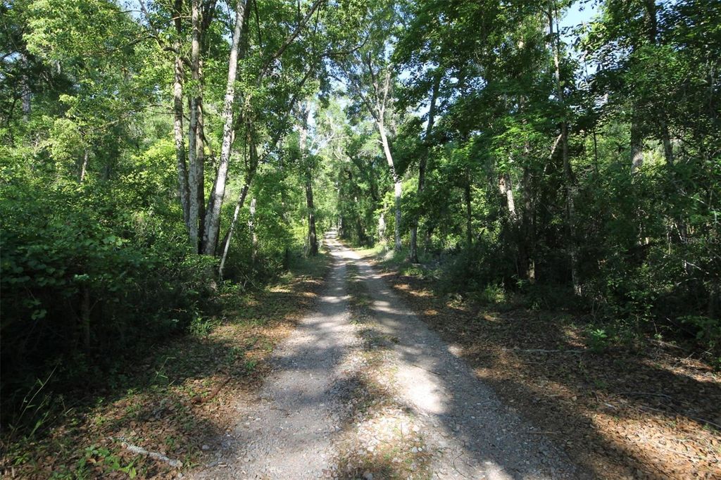 Photo of 0 Lager Street, Brooksville, FL 34602 (MLS # W7884980)