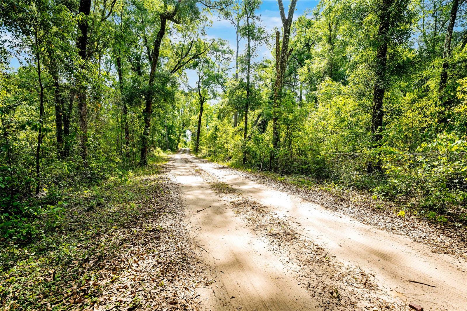 ACREAGE - Land