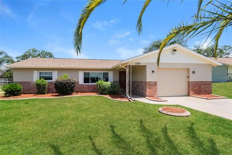 1202 MACFARLANE AVENUE SPRING HILL FL 34608