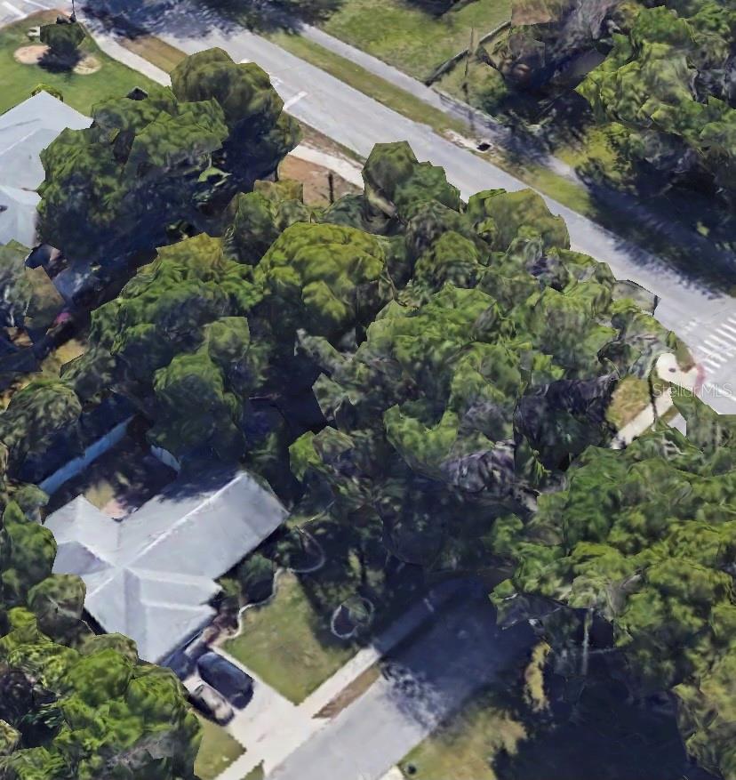 Florida Shores 01 - Land