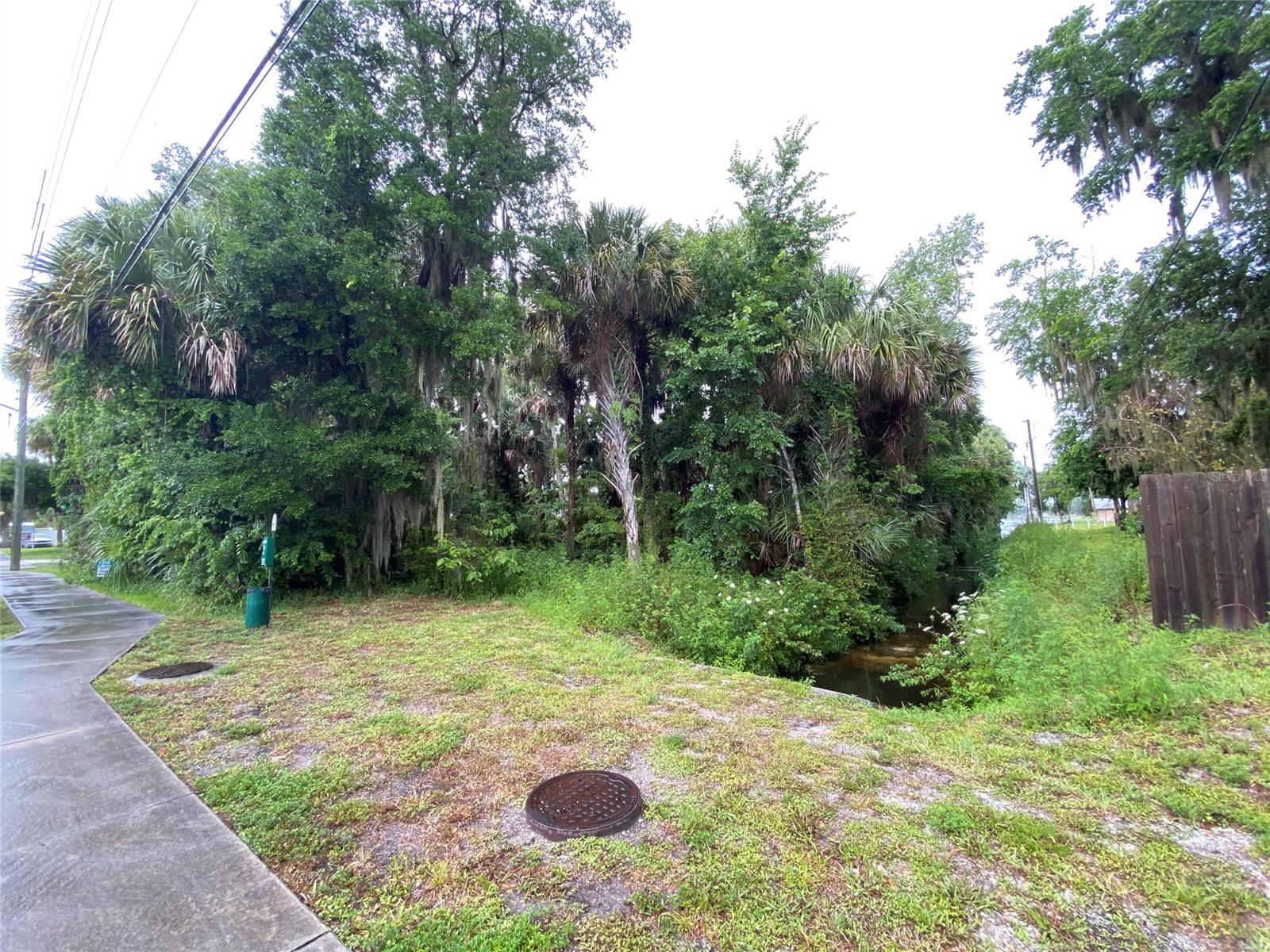 Florida Shores 01 - Land