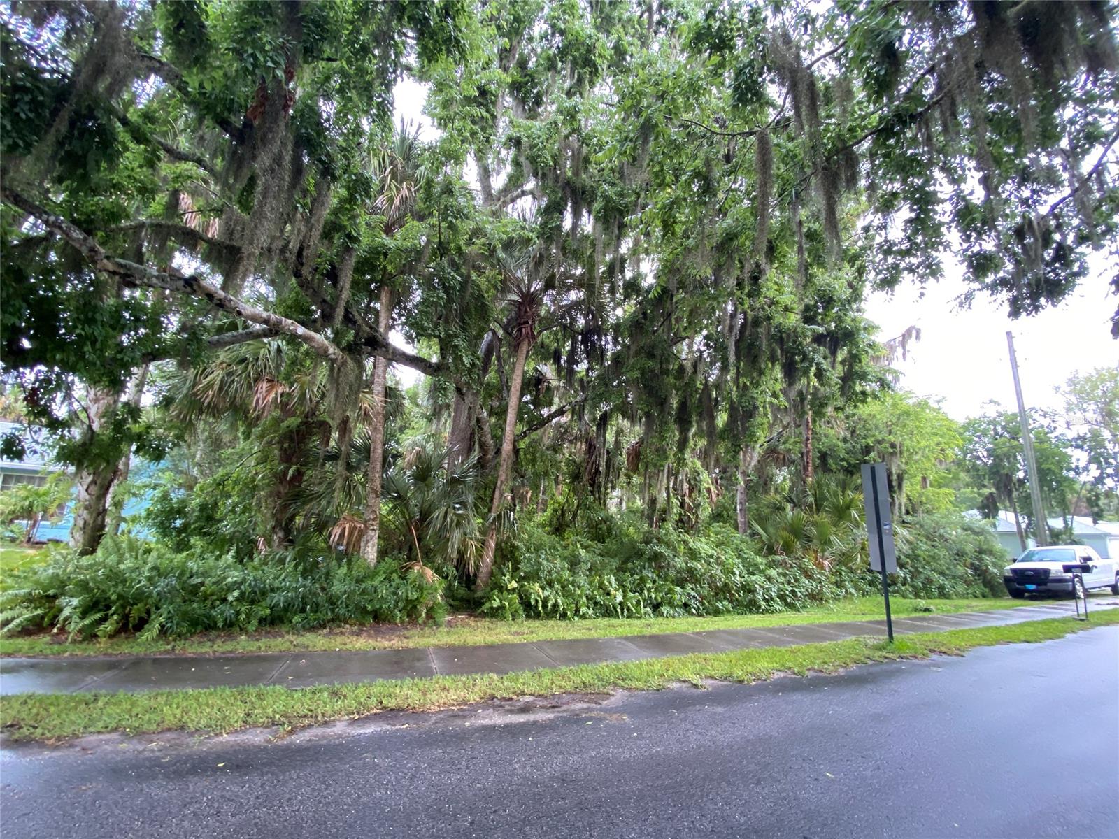 Florida Shores 01 - Land