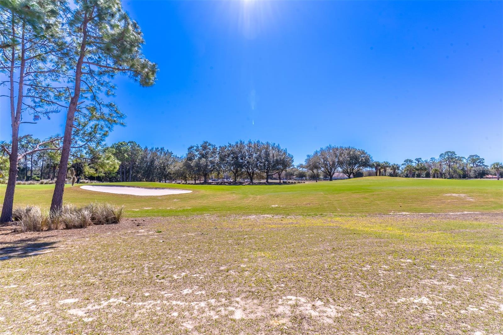 CANDLER HILLS EAST - Residential