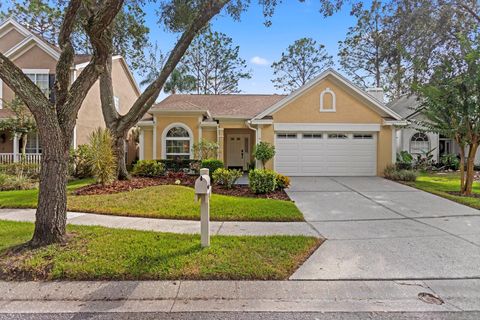 Photo of 9415 Oak Meadow Court, Tampa, FL 33647 (MLS # TB8435809)