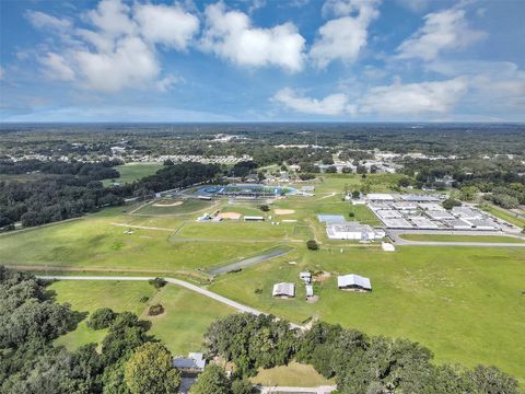 Tiny photo for 510 Phillips Lane, Wildwood, FL 34785 (MLS # G5101907)