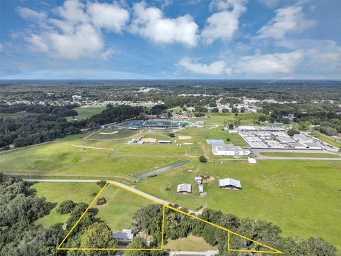 Tiny photo for 510 Phillips Lane, Wildwood, FL 34785 (MLS # G5101907)