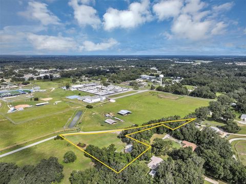 Tiny photo for 510 Phillips Lane, Wildwood, FL 34785 (MLS # G5101907)