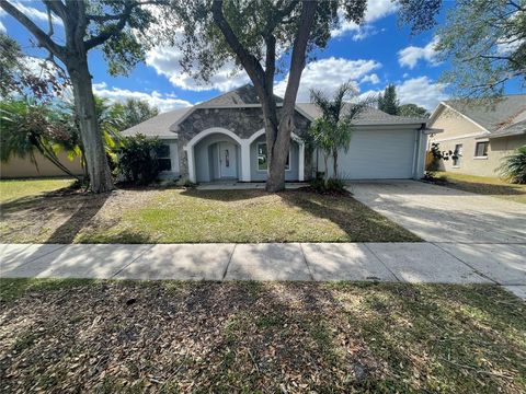 A home in TAMPA