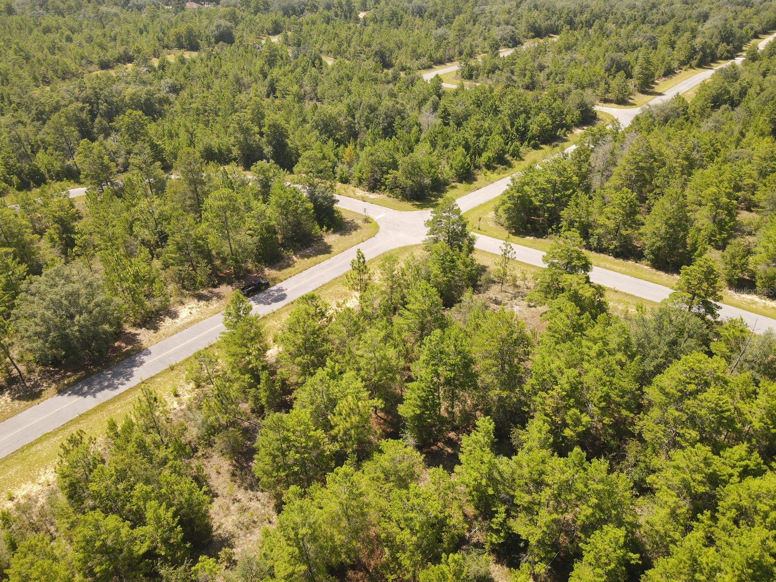 FARMINGTON DRIVE