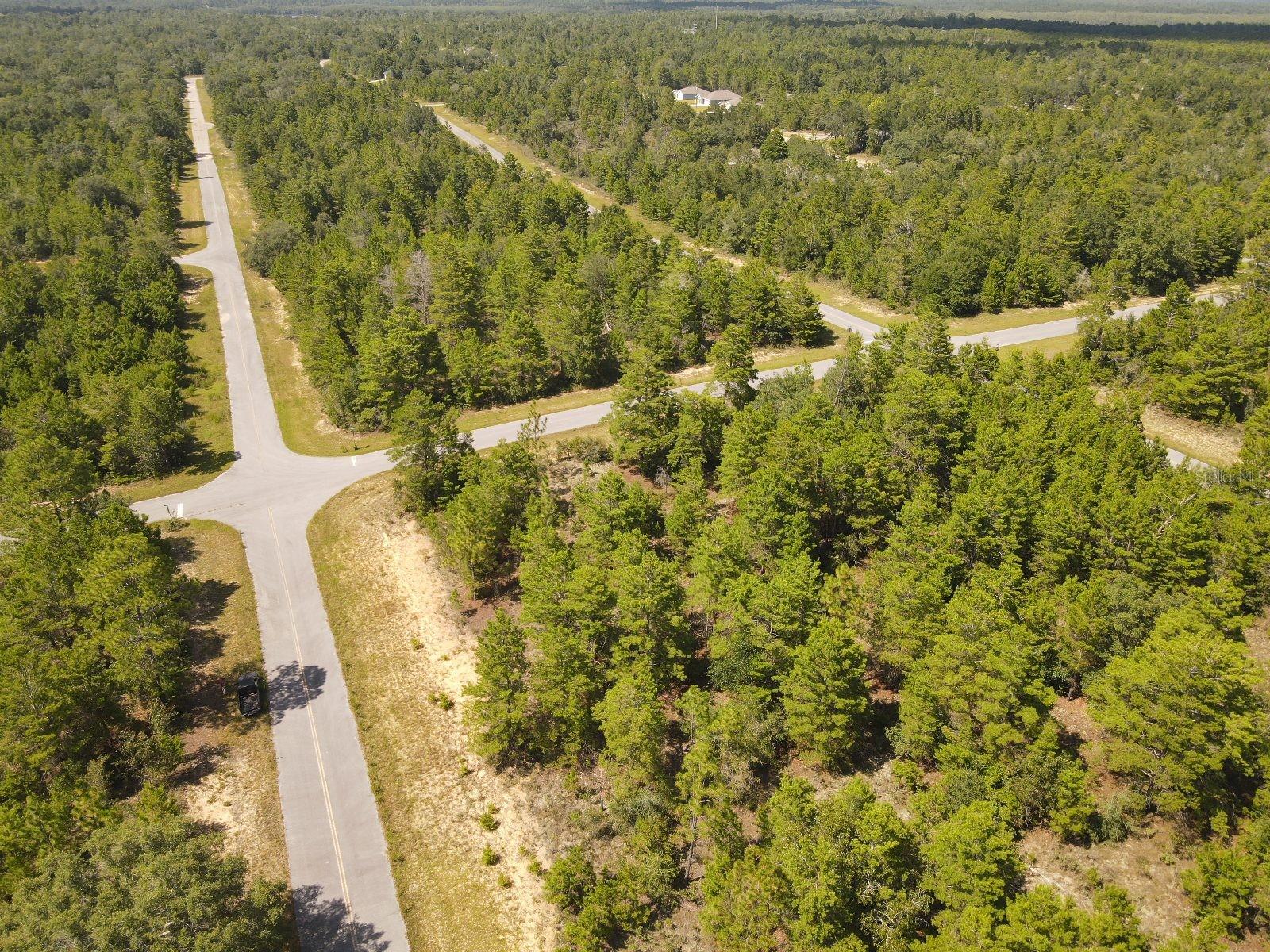 FARMINGTON DRIVE