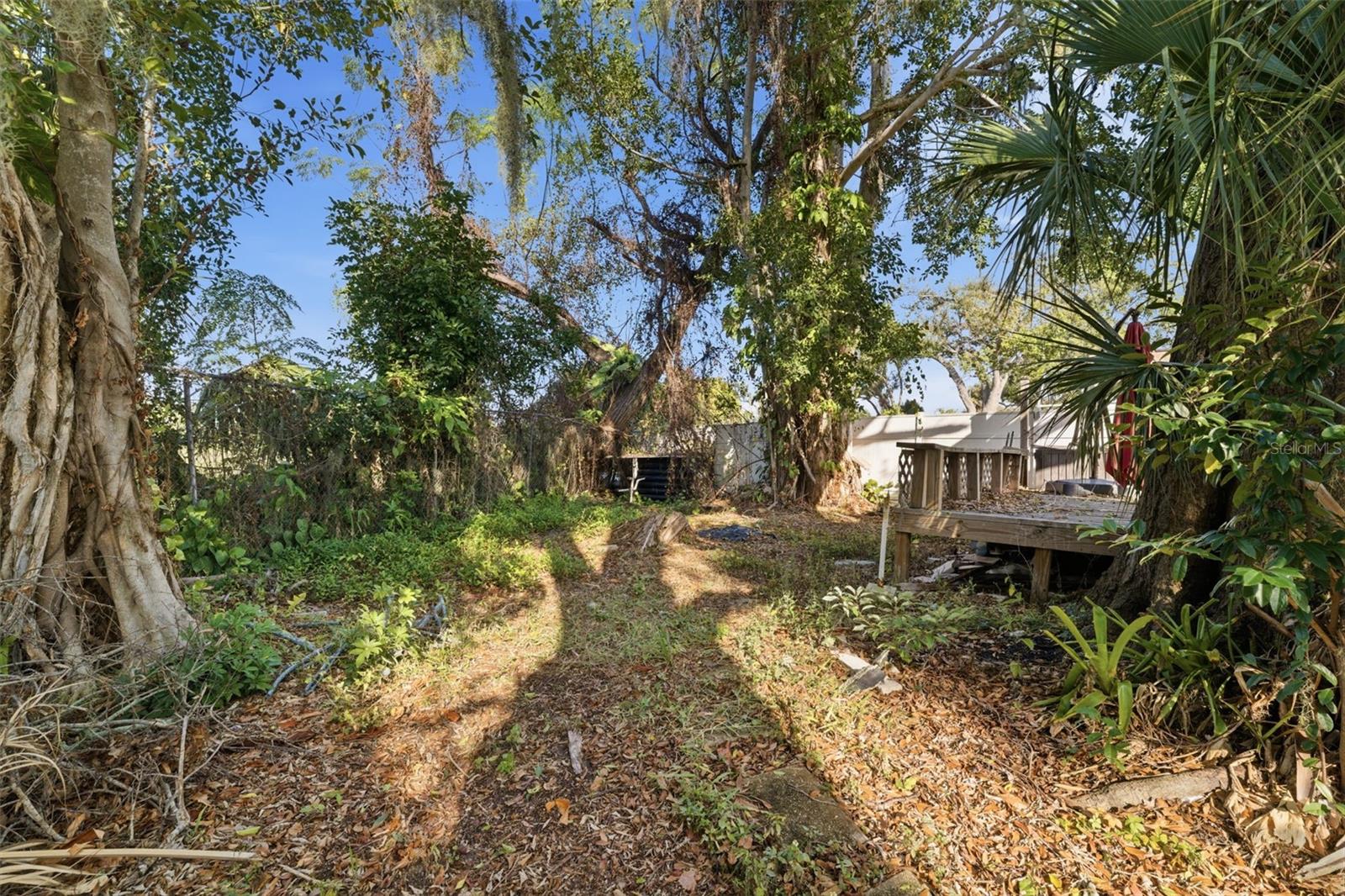 PALMETTO TERRACE - Residential