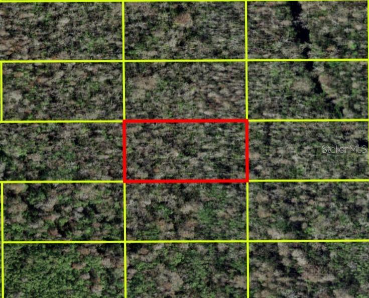 28,088178-81,488442, POINCIANA, FL 34759