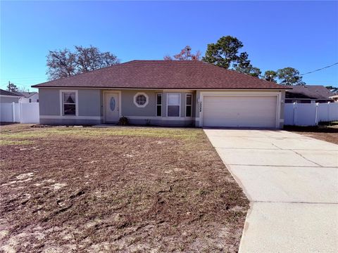 Photo of 12084 Rockford Street, Spring Hill, FL 34608 (MLS # TB8475394)