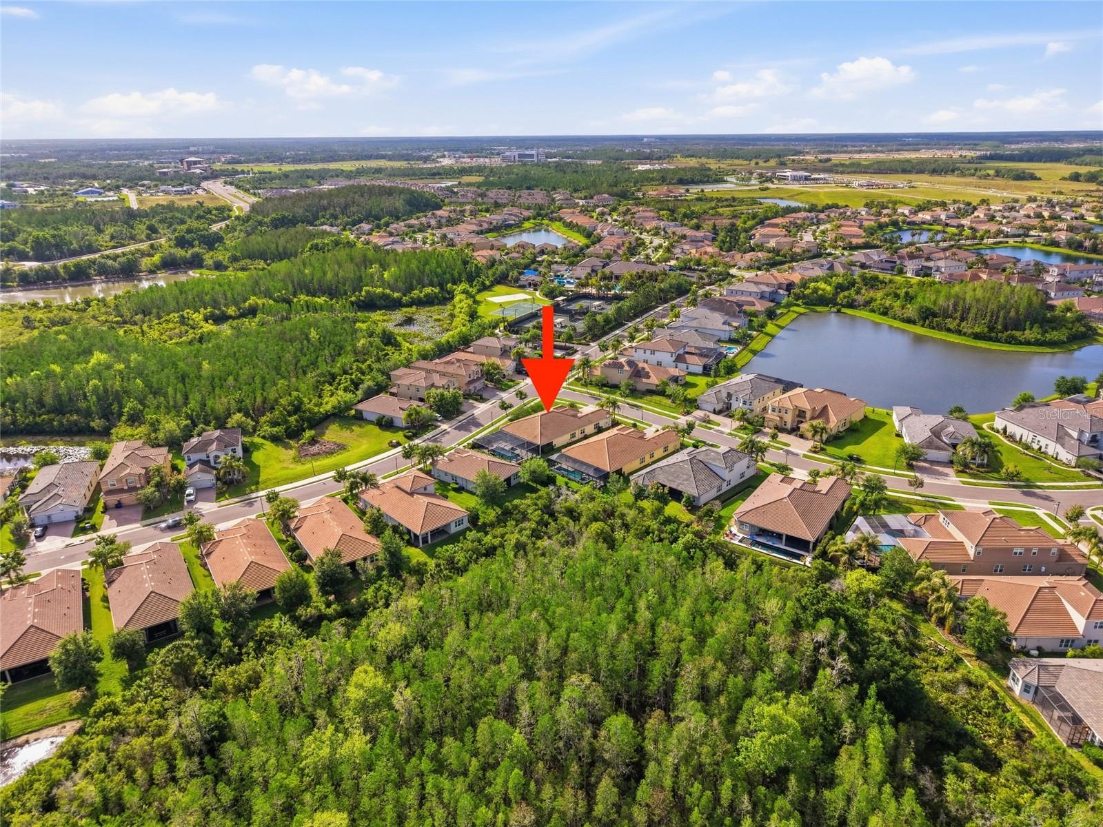 THE RIDGE AT WIREGRASS RANCH - Residential