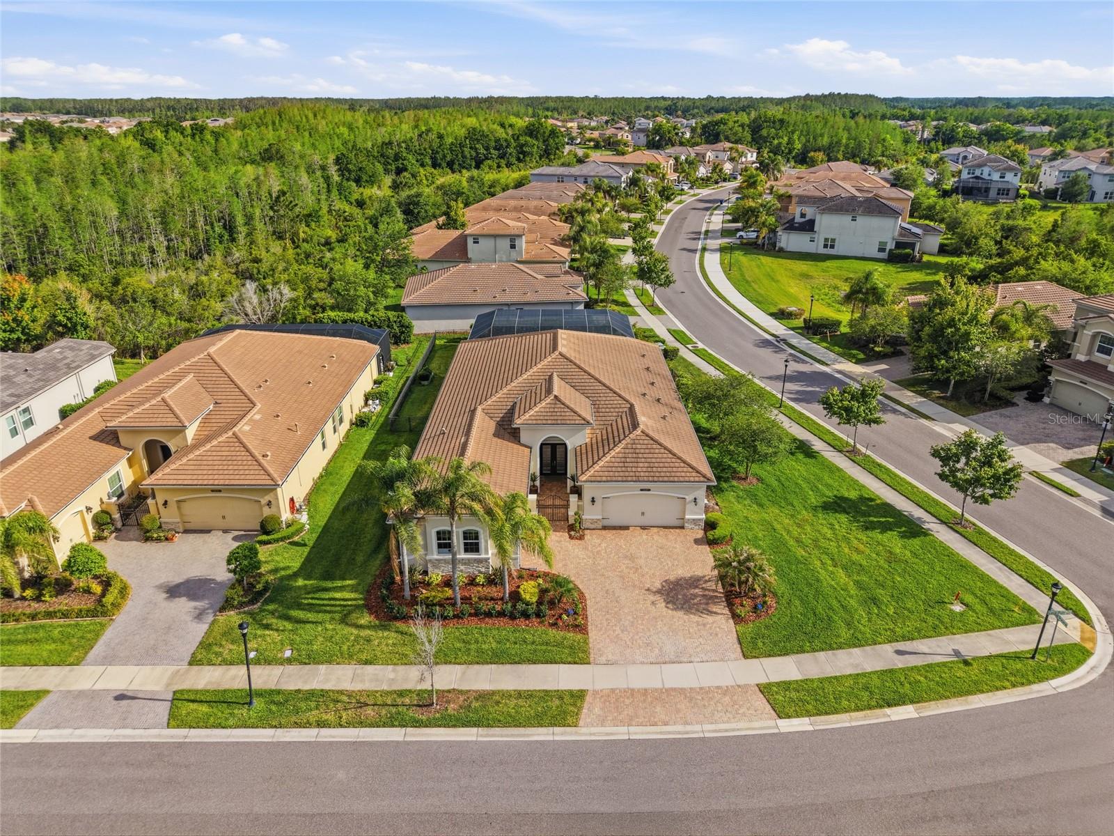 THE RIDGE AT WIREGRASS RANCH - Residential