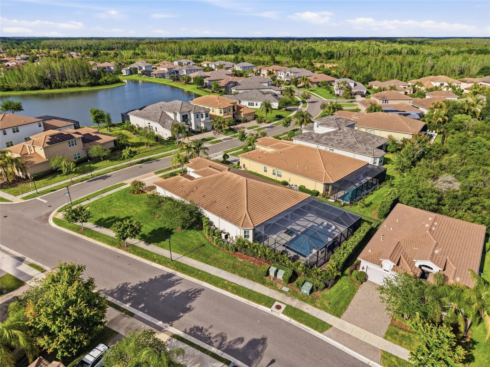 THE RIDGE AT WIREGRASS RANCH - Residential