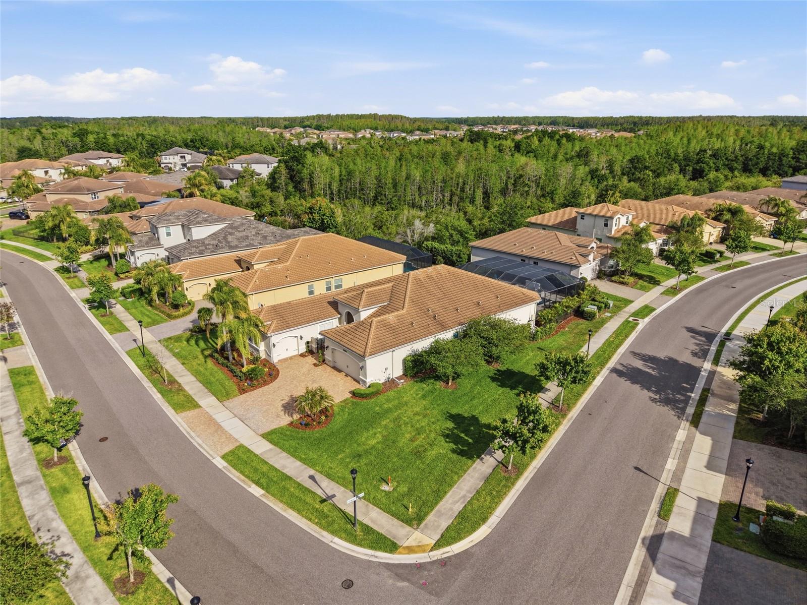 THE RIDGE AT WIREGRASS RANCH - Residential