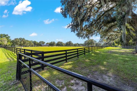 Tiny photo for 14650 NW 160th Avenue, Williston, FL 32696 (MLS # OM704862)