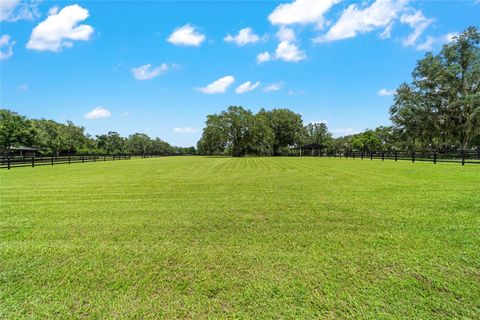 Tiny photo for 14650 NW 160th Avenue, Williston, FL 32696 (MLS # OM704862)