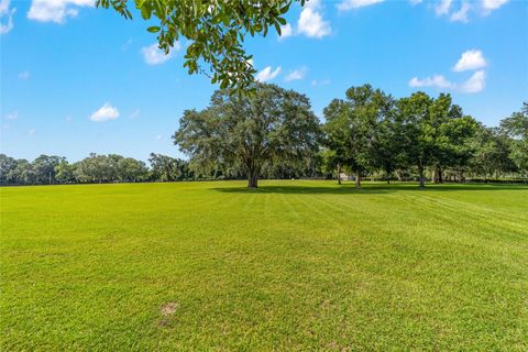 Tiny photo for 14650 NW 160th Avenue, Williston, FL 32696 (MLS # OM704862)