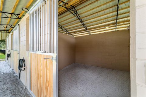 Tiny photo for 14650 NW 160th Avenue, Williston, FL 32696 (MLS # OM704862)