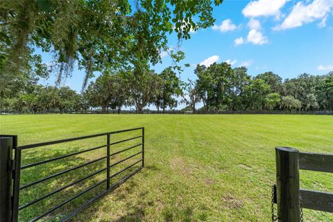 Tiny photo for 14650 NW 160th Avenue, Williston, FL 32696 (MLS # OM704862)