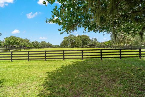 Tiny photo for 14650 NW 160th Avenue, Williston, FL 32696 (MLS # OM704862)