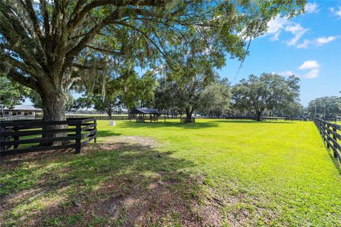 Tiny photo for 14650 NW 160th Avenue, Williston, FL 32696 (MLS # OM704862)