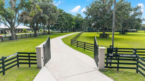 Tiny photo for 14650 NW 160th Avenue, Williston, FL 32696 (MLS # OM704862)