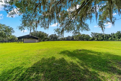 Tiny photo for 14650 NW 160th Avenue, Williston, FL 32696 (MLS # OM704862)