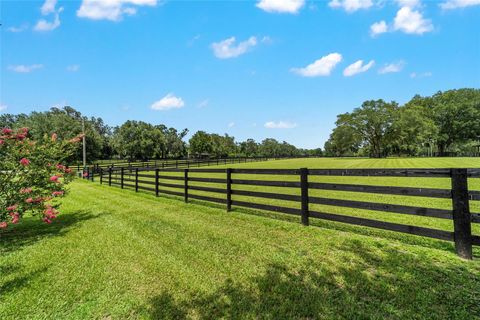 Tiny photo for 14650 NW 160th Avenue, Williston, FL 32696 (MLS # OM704862)