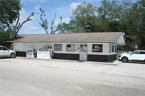 Tiny photo for 12959 NE 250th Court, Salt Springs, FL 32134 (MLS # OM719772)