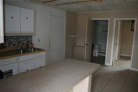 Tiny photo for 12959 NE 250th Court, Salt Springs, FL 32134 (MLS # OM719772)