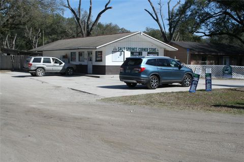 Tiny photo for 12959 NE 250th Court, Salt Springs, FL 32134 (MLS # OM719772)