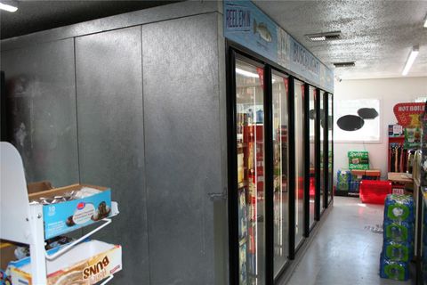 Tiny photo for 12959 NE 250th Court, Salt Springs, FL 32134 (MLS # OM719772)