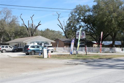 Tiny photo for 12959 NE 250th Court, Salt Springs, FL 32134 (MLS # OM719772)