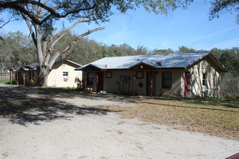 Tiny photo for 12959 NE 250th Court, Salt Springs, FL 32134 (MLS # OM719772)