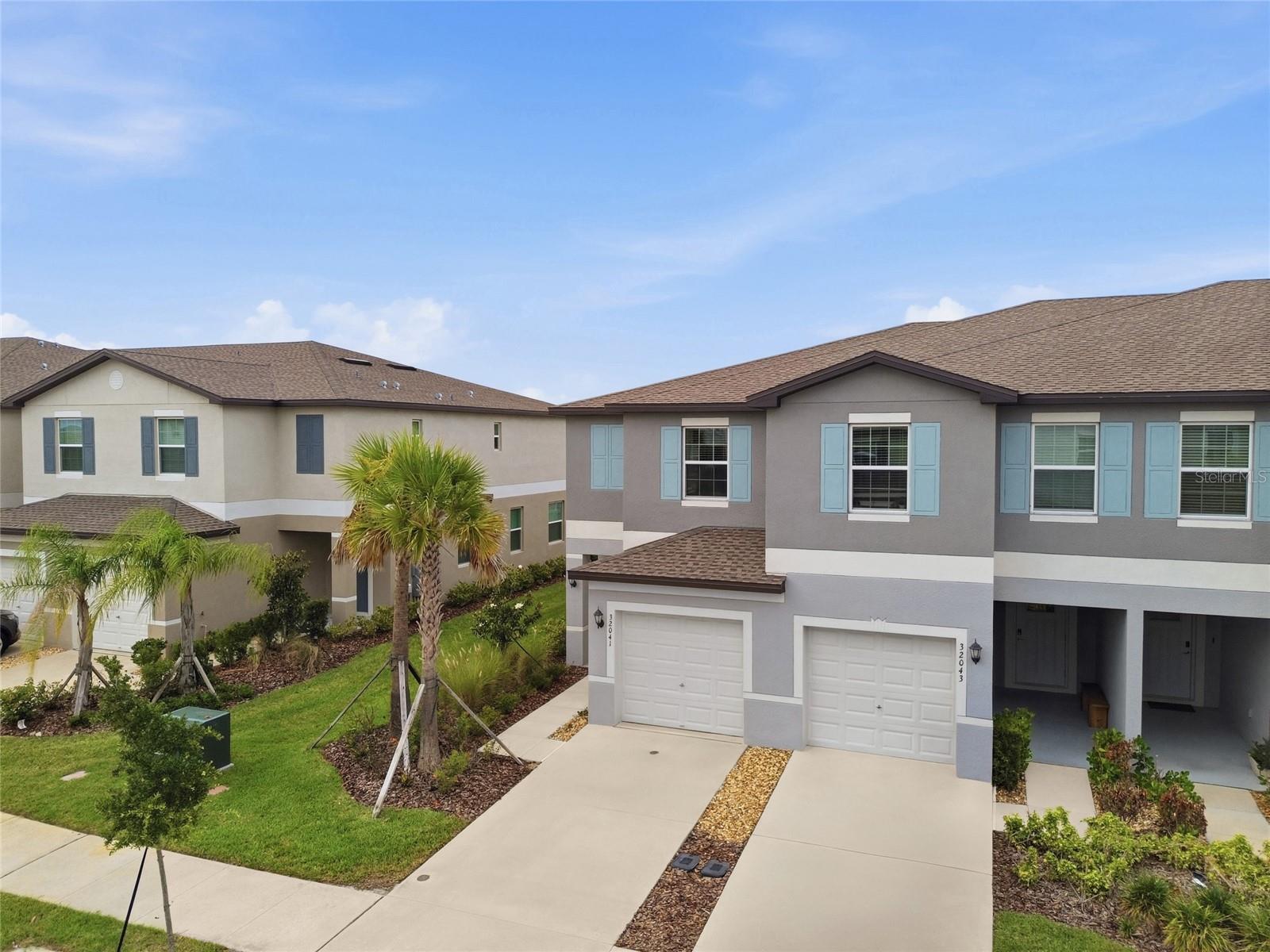 32041 POWDERPUFF MIMOSA DRIVE