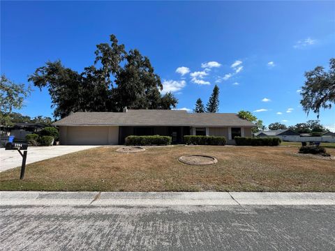 Photo of 2204 Cherokee Trail, Valrico, FL 33594 (MLS # O6356741)