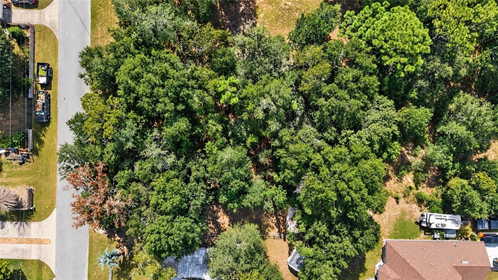 Photo of SE 91st Court, Summerfield, FL 34491 (MLS # OM734472)
