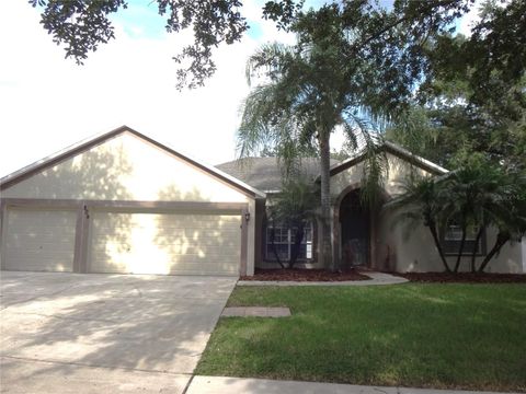 A home in VALRICO