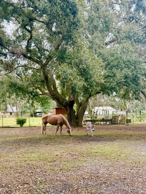 QUAIL HOLLOW PINES UNREC - Residential