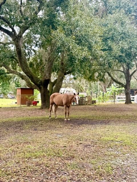 QUAIL HOLLOW PINES UNREC - Residential