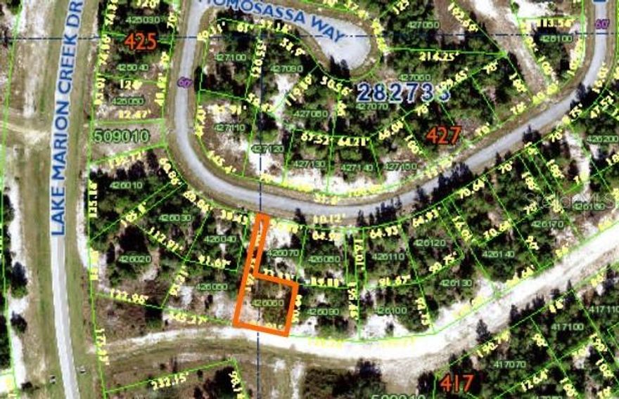 Build your dream home on this BEAUTIFUL flag lot in Poinciana. Just waiting for you to build your dream home now or later. Community has community pool, Club House, Recreation Center, football, soccer, tennis courts, racket ball courts, baseball, softball, fitness trails, parks, dog parks and lakes for fishing. Near shopping centers, restaurants, medical offices, and the new Hospital, Banks, bus lines, schools, Valencia College. Very close to Disney's parks and all the attractions. Come and make this piece of paradise your own!